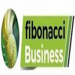 Recensione di Fibonacci business su Centro Uffici Aversa